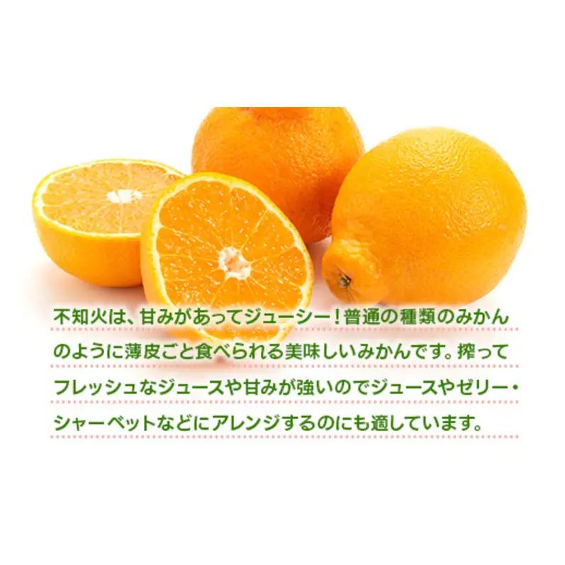 不知火 しらぬい 約3kg 柑橘 みかん ジュース ゼリー シャーベット 果物 フルーツ デザート ※配送不可:離島