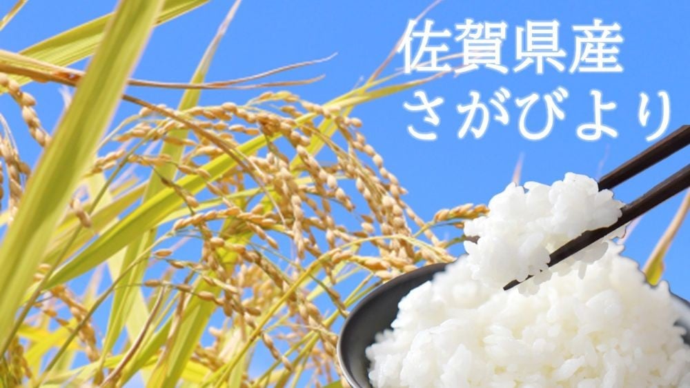 
                  【佐賀県産米】さがびより　白米10㎏(5㎏×2)
                
