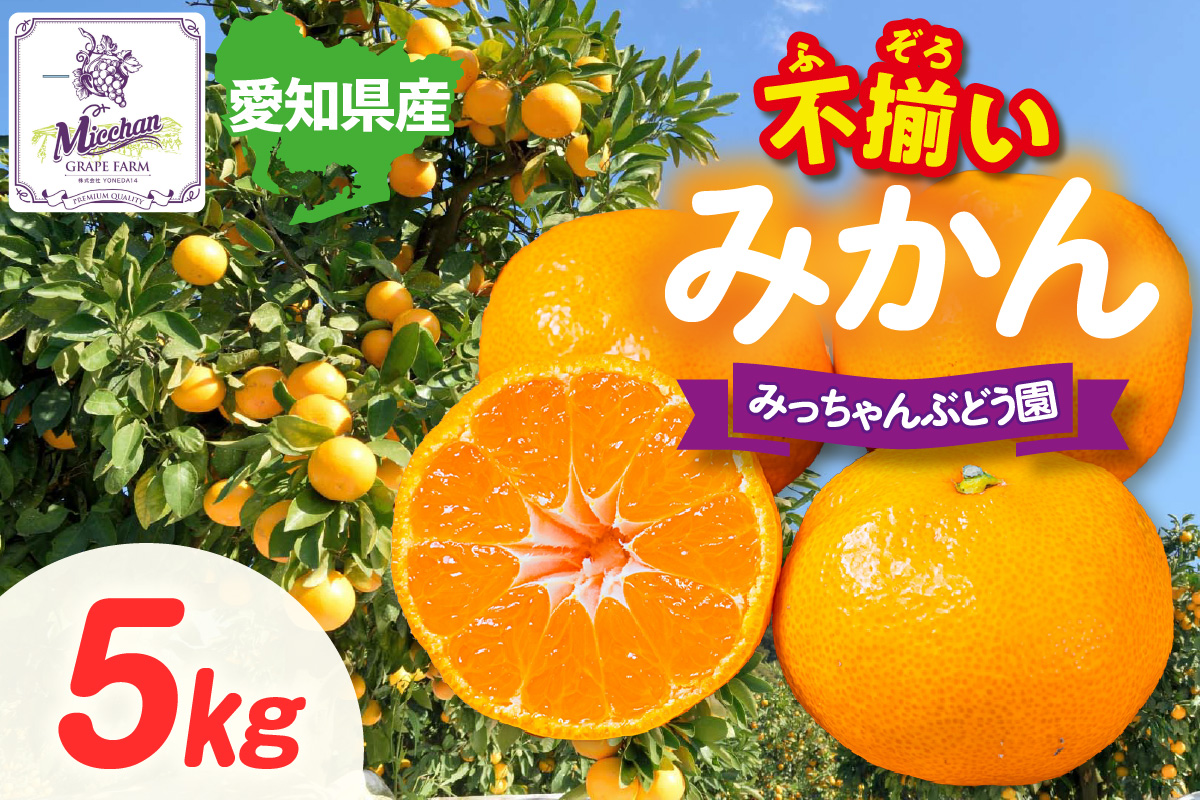 【先行予約】【2026年12月発送】【訳あり】不揃いみかん・5kg×1箱│フルーツ 果物 オレンジ 甘い 産地直送 柑橘 大容量 お得  愛知県 東浦町