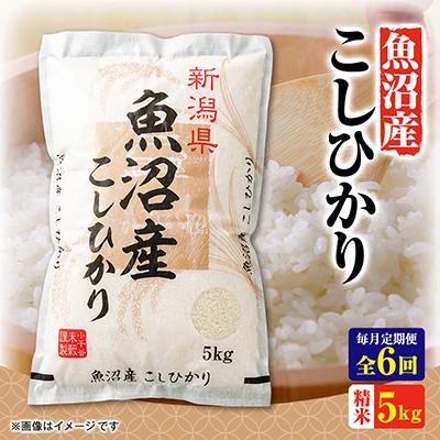 ふるさと納税 小千谷市 【毎月定期便】魚沼産コシヒカリ　5kg全6回