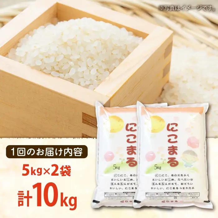 【6回定期便】長崎県産 精米 にこまる 10kg(5kg×2袋)総計60kg / 米 お米 こめ コメ 精米 / 南島原市 / 大松屋商店[SDR015]