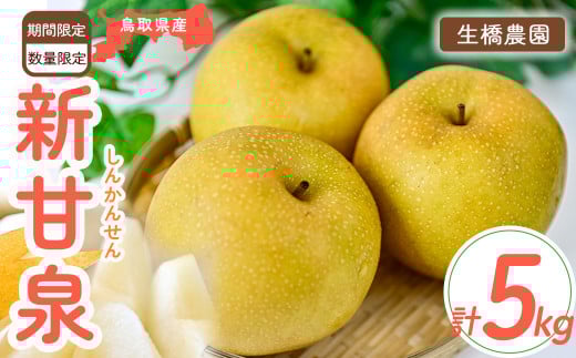 新甘泉【鳥取県産】5kg(生橋農園) 鳥取 梨 5kg 果物 フルーツ 和梨 先行予約 数量限定 新甘泉 詰め合わせ 新品種