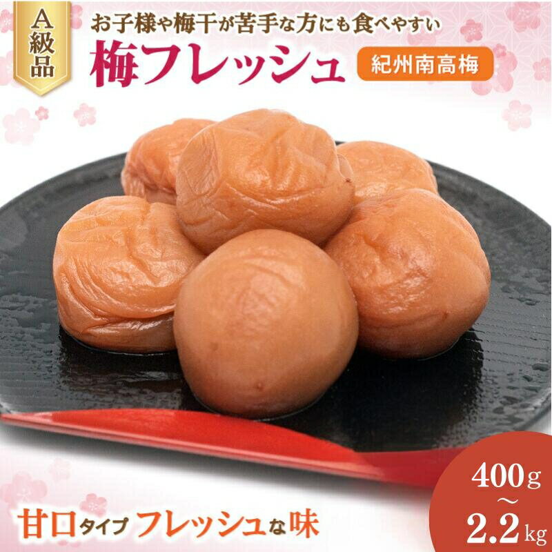【ふるさと納税】 【レビューキャンペーン中】 紀州南高梅　梅フレッシュ（塩分約5％）【選べる容量】 / 梅干し 梅 紀州南高梅 和歌山 田辺市 南高梅 梅干 うめ 肉厚 お米 おにぎり 焼酎 梅酒 健康 減塩 塩分控えめ ご飯のお供