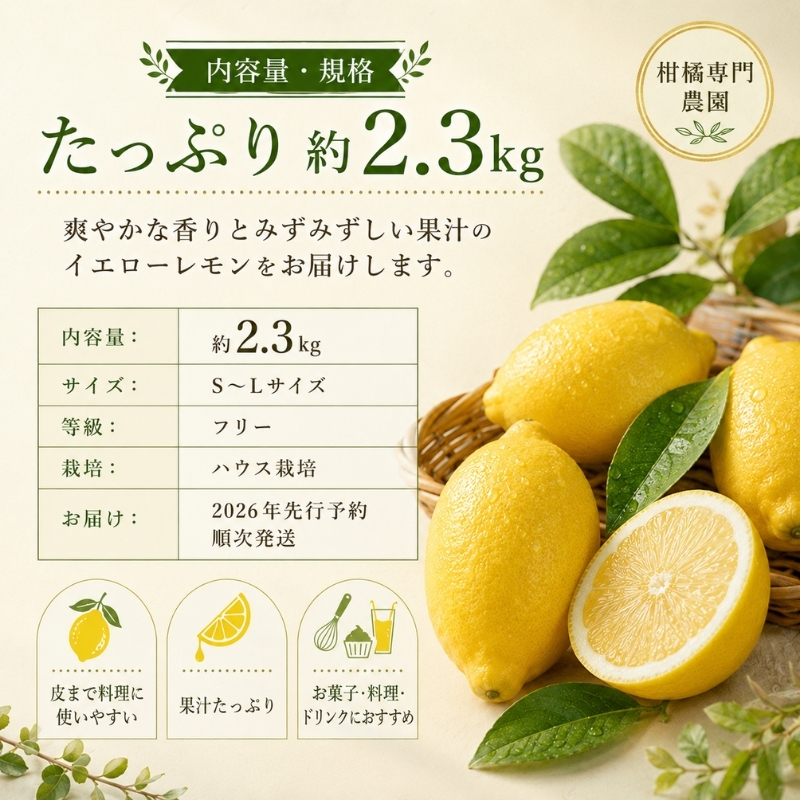 みどり認定 ハウス栽培イエローレモン 2.3kg 国産レモン 香