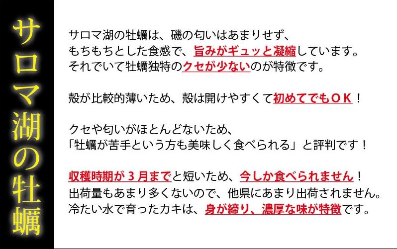<先行予約2025年11月中旬から発送>牡蠣職人が厳選した殻付きカキ 3.5kg（生食可）牡蠣　かき　カキ　海鮮　魚介　国産　殻付き　冷蔵　焼き牡蠣　蒸し牡蠣　産地直送　生牡蠣　生食　サロマ湖　オホー