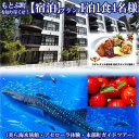 【ふるさと納税】もとぶ町を知り尽くせ！【宿泊】プラン　1泊1食4名（美ら海水族館・アセローラ体験・本部町ガイドツアー）