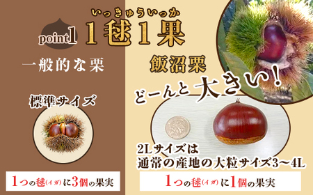 029茨城県産高級栗「飯沼栗」2kg【先行予約 2024年10月下旬頃～11月下旬頃発送予定】