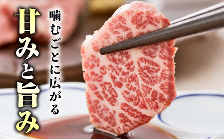 【12回定期便】プレミアム三角バラ 馬刺し 約100g お肉 馬肉 国産 熊本県 特産品 ヘルシー【株式会社  利他フーズ】[ZBK012]