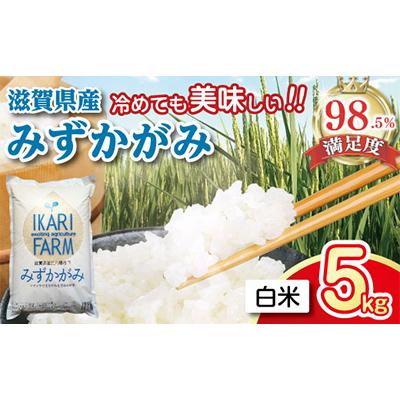 ふるさと納税 近江八幡市 【令和7年産】冷めても美味しいあっさりとした味わい「みずかがみ」白米5kg