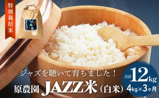 【令和8年産】原農園 JAZZ米 白米 4kg ヒノヒカリ 3回定期便 米 お米  こめ コメ 定期 定期便 ご飯 ひのひかり 常温 大分県 大分 玖珠町 玖珠