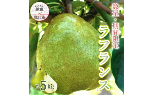 
                  【数量・期間限定】洋梨の女王「ラフランス」 5kg ［2026年11月中旬から出荷予定］ 秋田県 能代市 ラフランス 洋梨 フルーツ 果物 大玉
                