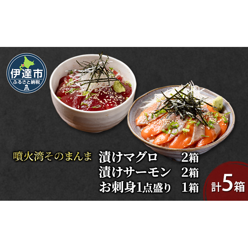 噴火湾そのまんま 漬けマグロ2箱、漬けサーモン2箱、お刺身1点盛り1箱の計5箱 旬菜一鮮 だて大和屋 厳選 魚介 海鮮 刺身 刺し身 小分け 新鮮 魚介類 魚貝類 加工食品 贈答 ギフト 贈り物 ご褒