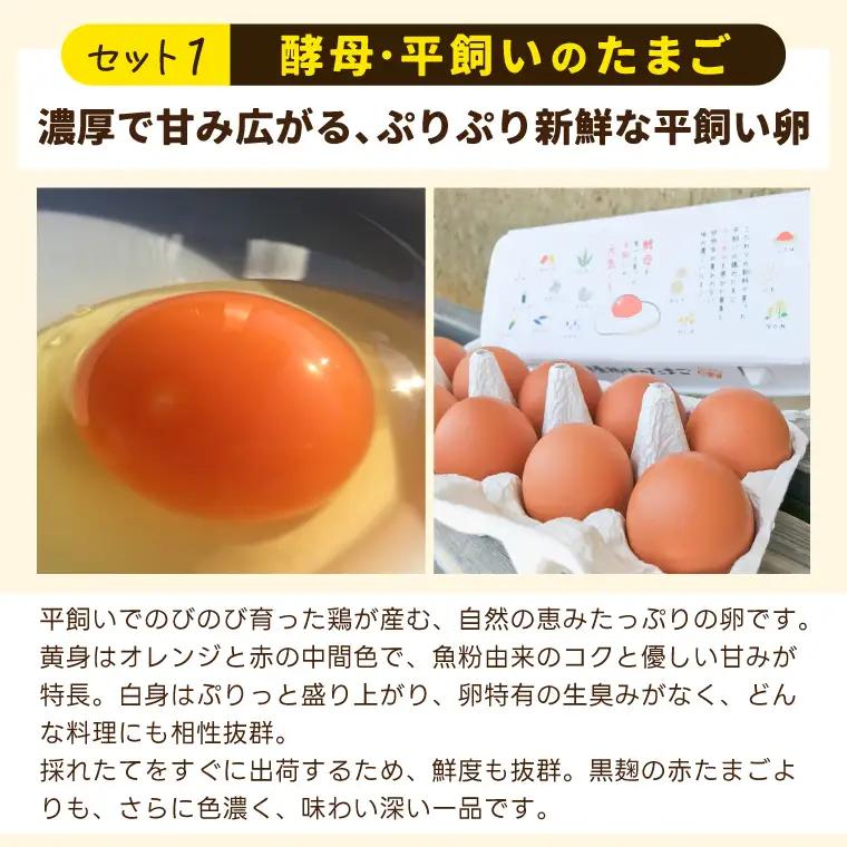 たまごセット 濃厚たまご＆絶品加工品 6点セット 益子町 BC009
