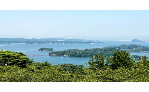 ＜宮城県産＞仙台金時・紅はるか　さつまいも計約5kg【1748709】