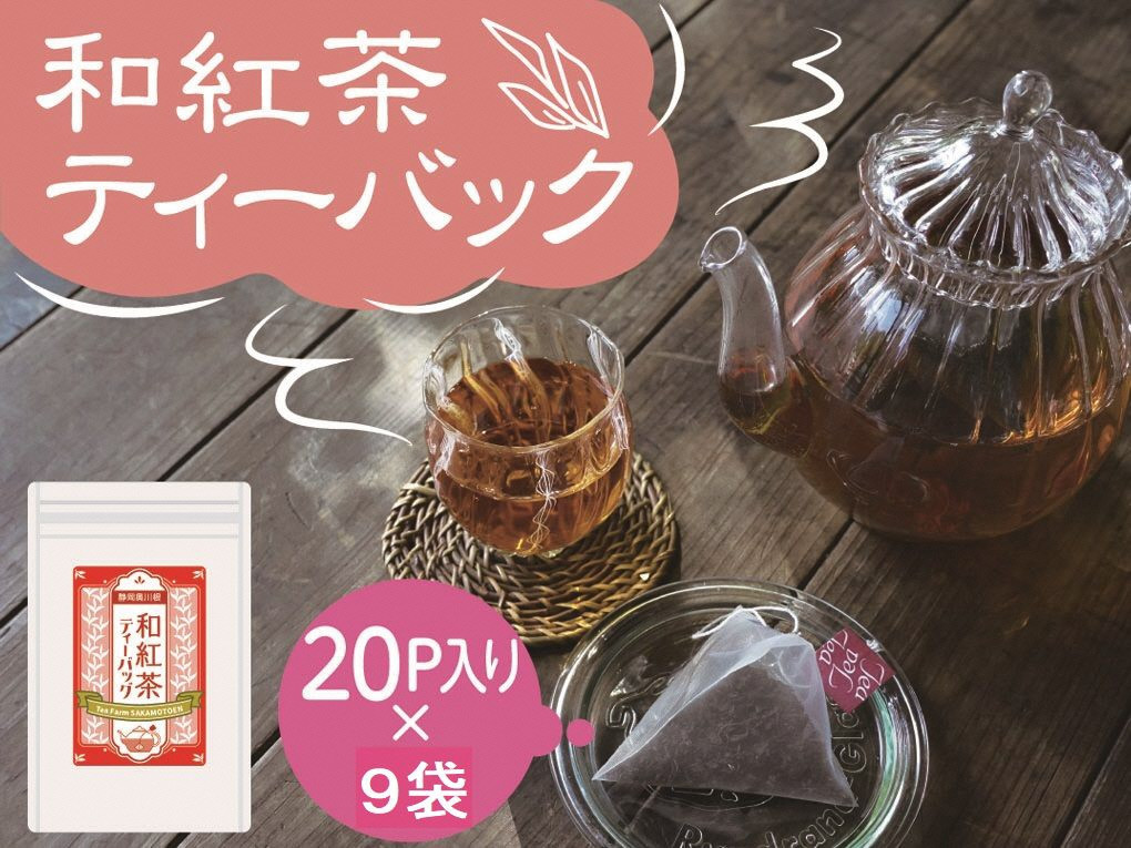 紅茶 定期便 ティーバッグ 静岡 20個入×3袋×3ヶ月連続 / 川根紅茶 紐付きティーバッグ180個、イメージ画像