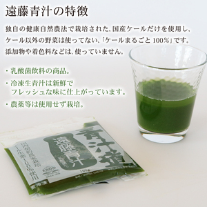 【国産ケール100%】遠藤青汁（28パック×1箱）冷凍生タイプ