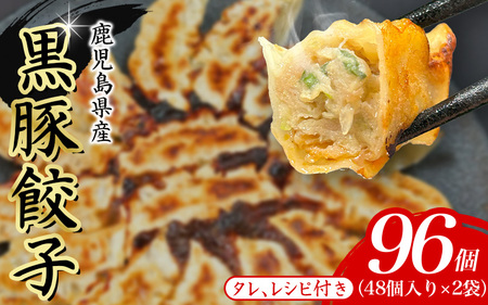 【ふるなびWEEK対象】 餃子 96個 黒豚餃子 FN-Limited-PR【gnkt0002-fw】