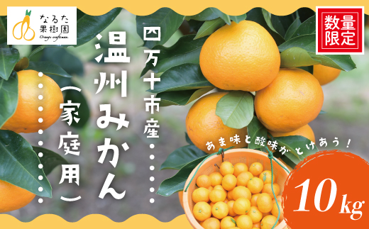【 早期受付 期間限定 数量限定 】 温州みかん 10kg 家庭用 人気 フルーツ 果物 みかん ミカン 蜜柑 ジューシー 果汁 甘い 酸味 限定品 高知県 高知 四万十市 四万十 しまんと お取り寄せ 【配送時期：2025年10月～11月末】