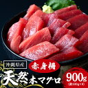 【ふるさと納税】天然マグロ赤身 900g (約100g×9p) 赤身 900g まぐろ 柵 旬 鮪 鮮度抜群 魚種 赤身 高たんぱく 低カロリー 真空 冷凍 刺身 家庭用 小分け 沖縄 糸満市 38000円