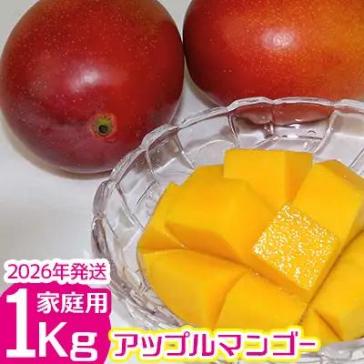 【2026年発送】　ご家庭で美味しく！アップルマンゴー約1kg【つは農園】 フルーツ 果物 期間限定 数量限定 先行予約 南国 プレゼント お土産 おみやげ ギフト くだもの 季節 おきなわ 青果 デザート おすすめ 人気 冷蔵 夏 スイーツ