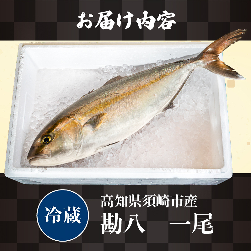 カンパチ丸ごと１本(セミドレス） 新鮮 高知県産 勘八 かんぱち 刺身 さしみ タタキ 切り身 お刺身用 養殖 活け締め 冷凍 海の幸 海鮮 魚介 グルメ カマ焼き あら汁 内祝い 食べ方いろいろ おつまみ お取り寄せ ギフト 贈答 お祝い 黒潮 産地直送 高知県 須崎市