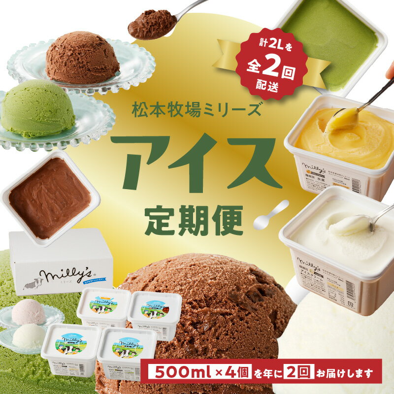 【ふるさと納税】松本牧場アイス定期便　本格ジェラートファミリーセット（500ml×4個×2回配送）／配送無料 氷菓子 自然豊か 牧場 搾りたて 新鮮なミルク 玄海町産使用 いちご みかん チョコチップ 本格ジェラート シャーベット アイスクリーム