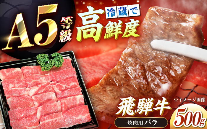 【チルド（冷蔵）発送！】 「飛騨牛」 A5等級 バラ 500g / 牛肉 焼肉 鉄板焼き 網焼き BBQ / 恵那市 / 東美濃農業協同組合 [AUFX002]