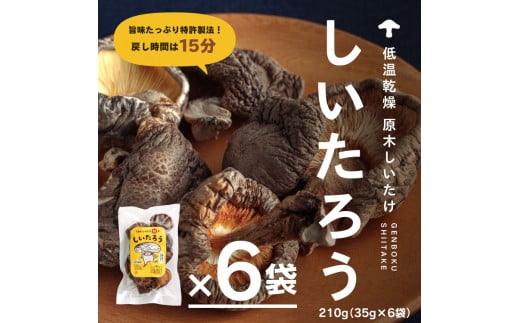 こだわりの低温乾燥シイタケ「しいたろう」210g（35g×6袋）