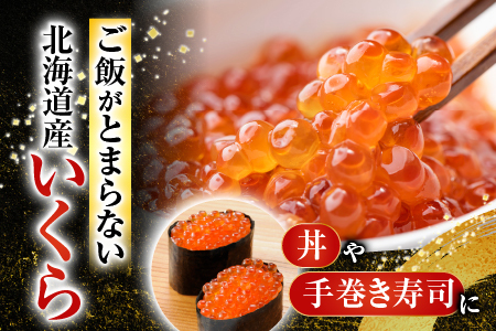 いくら醤油漬け100g×2P、ほたて貝柱500g×1P C-70041