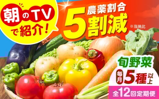 【全12回定期便】 米ぬかで育てた！旬のお野菜セット 詰合せ 詰め合わせ 新鮮 産地直送 おまかせ やさい 野菜セット 大阪府高槻市/ベジ彩ファーム [AOEJ007]