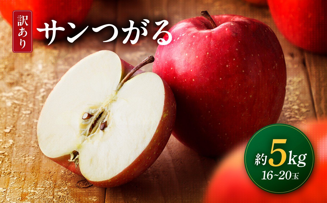 
            【2026年先行予約】 南信州産 サンつがる 約5kg 訳あり 16～20玉 | サンつがる 林檎 りんご リンゴ 果物 くだもの フルーツ 信州 南信州 送料無料 ふるさと納税 長野県 飯田市
          