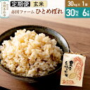 【ふるさと納税】《6ヶ月定期便》令和6年産【玄米】秋田県産ひとめぼれ 30kg（30kg×1袋）