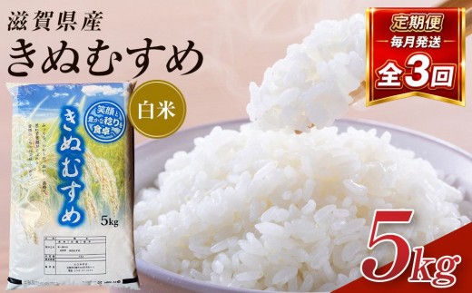 【令和8年産 新米 先行予約】近江米きぬむすめ白米5kg×3回定期便※2026年9月～発送