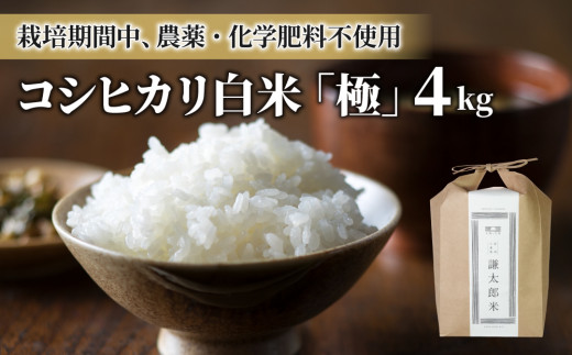 
【太陽と大地】八重原産コシヒカリ白米「極」（栽培期間中農薬化学肥料不使用）４kg
