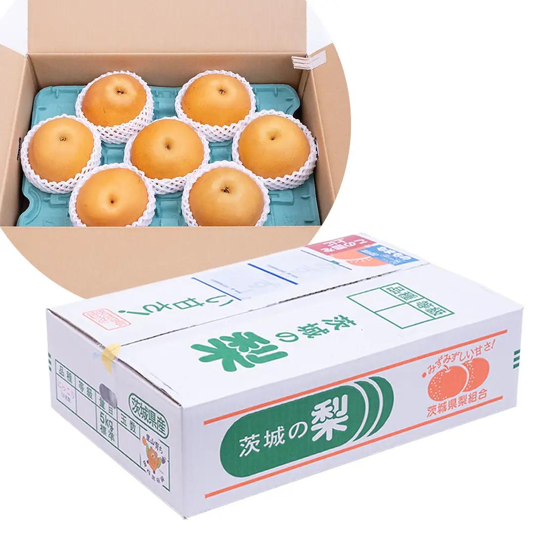 【先行予約】 梨 品種 おまかせ 約3kg（ 4～6個 ）2026年9月上旬 順次発送 農家直送（BB008）
