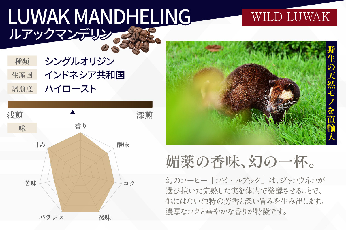 [№40-3240]幻のコーヒー　コピ・ルアック 100g【豆のまま】