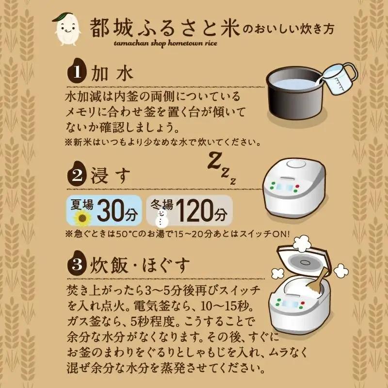 都城ふるさと米(ひのひかり)無洗米5kg〔14-9002〕_(都城市) 都城産 ひのひかり 無洗米 5kg