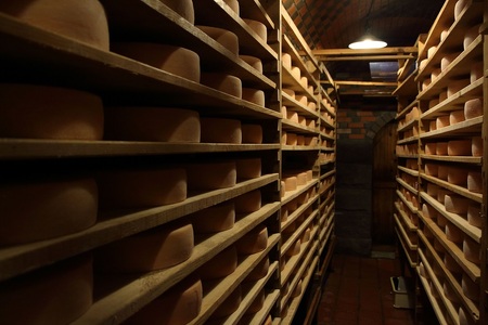 F-2601 共働学舎新得農場チーズ たっぷりラクレット1,000g