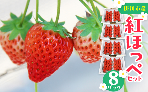 紅ほっぺセット(8パック　約2080g)　甘さと酸味がほどよく後味爽やかないちご【配送不可地域：離島・北海道・沖縄県・四国・九州】