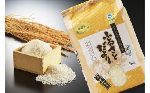 【令和7年産】日本一おいしい米コンテスト 金賞受賞 早川農興コシヒカリ 白米5kg FC015016