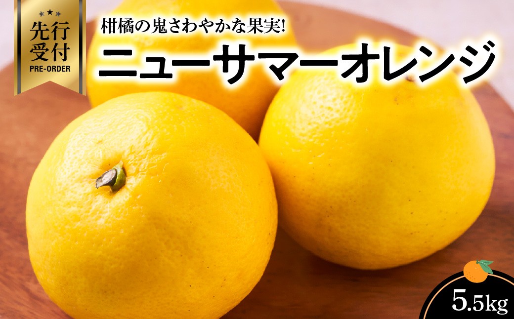 
                  【先行受付】柑橘の鬼　さわやかな果実!ニューサマーオレンジ5.5kg＜D56-35＞オレンジ  常温 国産 フルーツ 果物 くだもの 人気 柑橘 かんきつ 愛媛 旬 産地直送 産直  甘い 八幡浜 ふるさと【1383235】 YWTAS026
                