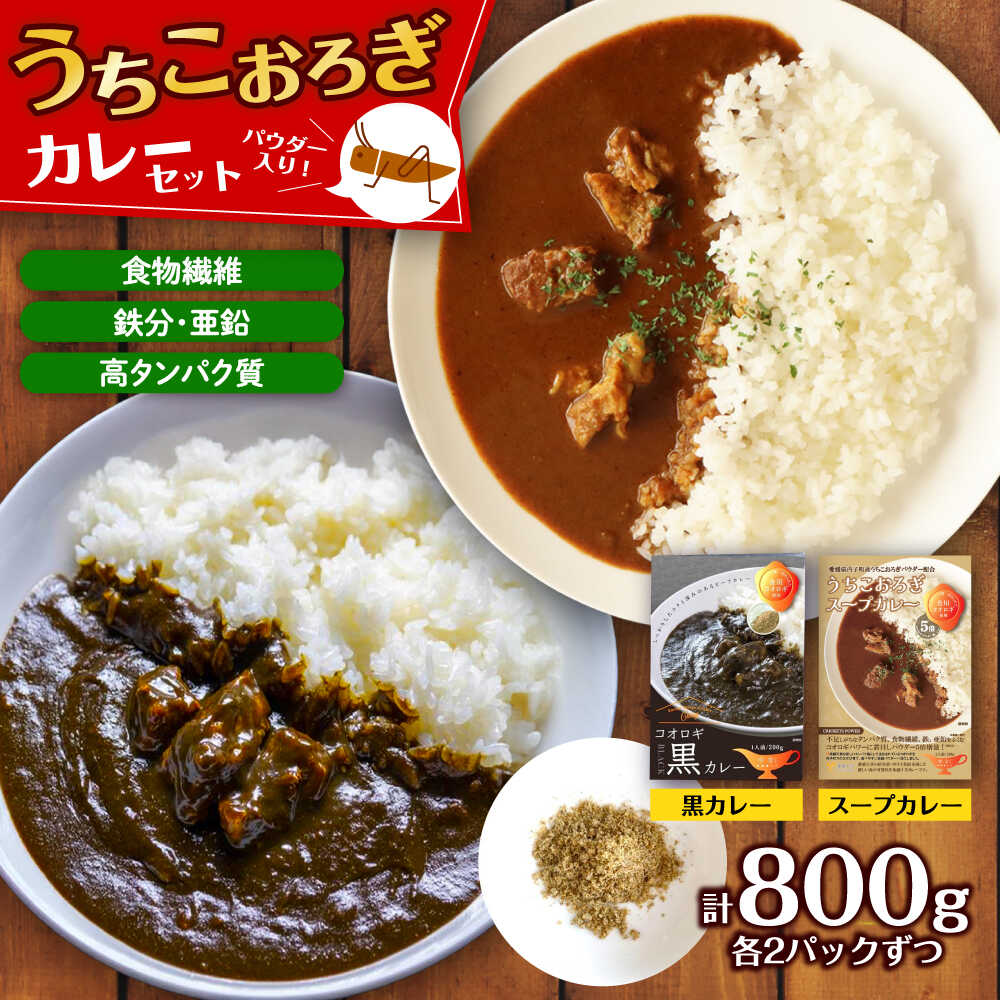 【ふるさと納税】うちこおろぎスープカレー2個と定番コオロギ黒カレー2個セット／国産牛肉 タンパク質 食物繊維 鉄分 亜鉛 保存食 防災 内子町【株式会社ヒューネット風の谷うちこおろぎファーム】[BKBN003] 11000 11000円