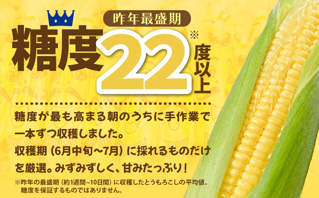 とうもろこし トウモロコシ コーン 野菜 やさい ヤサイ 夏野菜 玉蜀黍 朝採れ 朝どれ  バーベキュー BBQ 旬 新鮮