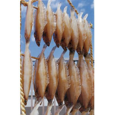 ふるさと納税 小浜市 一夜干し鰈の中では有名なほんのりと甘くて上品な旨味の皇室献上の若狭かれは特に貴重品 |  | 03