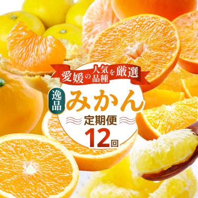 ふるさと納税 八幡浜市 【発送月固定定期便】愛媛の人気品種を厳選!みかん定期便(秀品)【H25-166】全12回