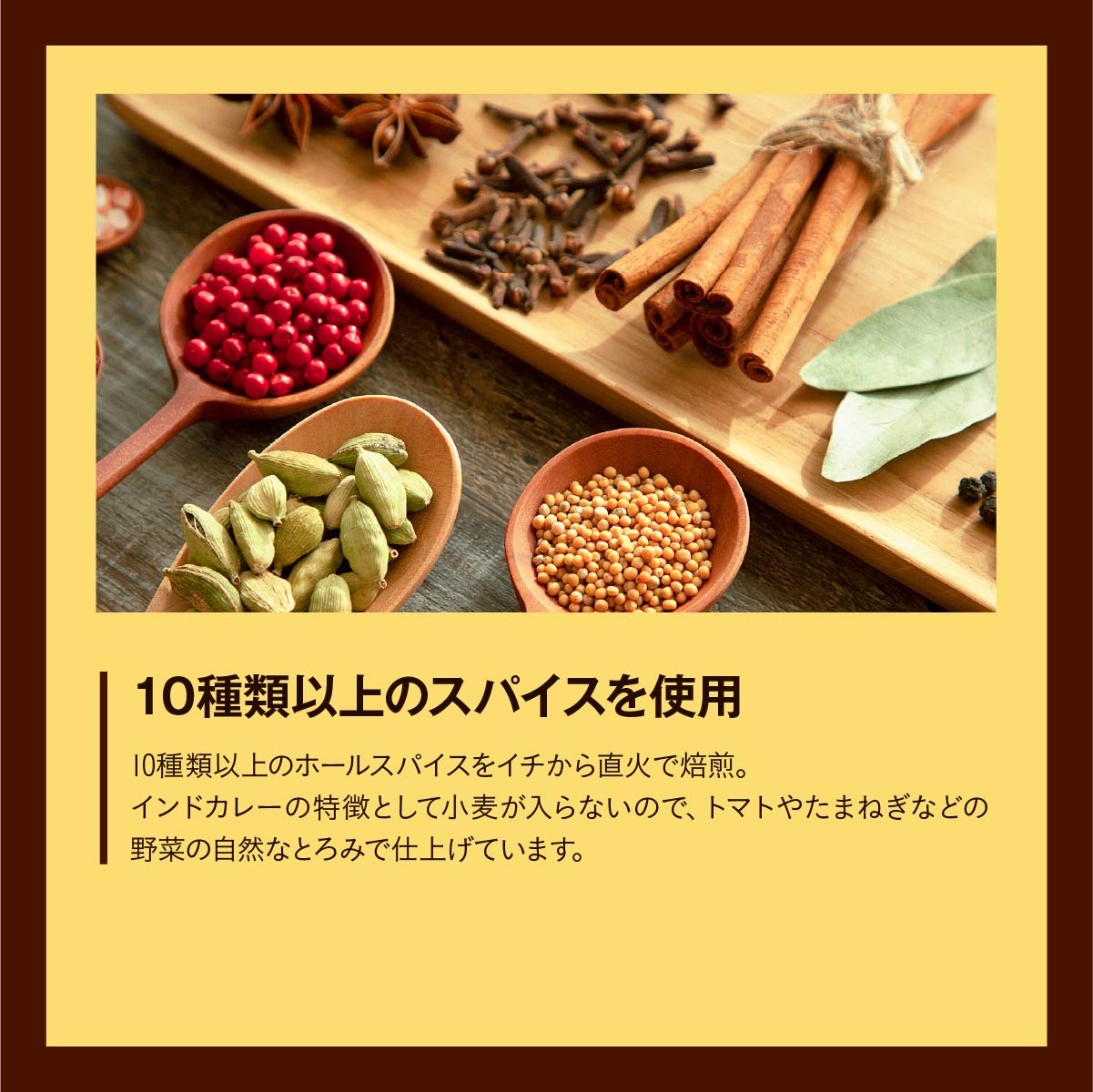 インドチキンカレー 180g×10袋 タミー食品 | 埼玉県 所沢市 タミーフーズ tamy カレー インドカレー チキンカレー スパイス スパイスカレー 鶏 鶏肉 チキン レトルト レトルトカレー 