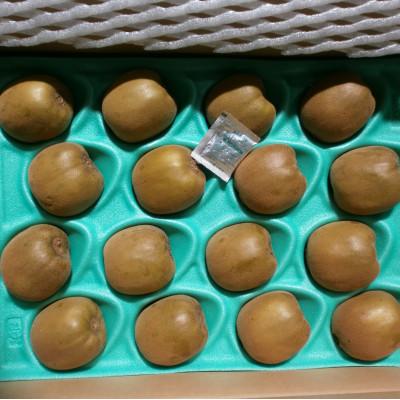ふるさと納税 小豆島町 【さぬき讃フルーツ】さぬきゴールドキウイ 約3.5kg |  | 01