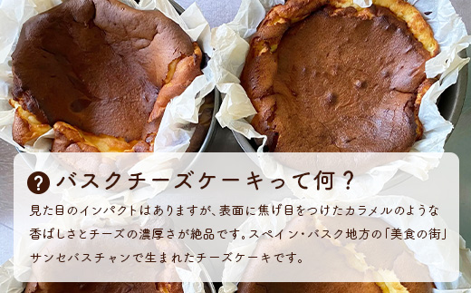 厳選素材 バスクチーズケーキ ホール5号 A3−2【配送不可地域：離島】【1166628】