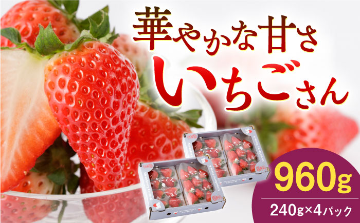 【2026年1月以降発送】 いちごさん 240g×4パック 【StrawberryFarm-K】 イチゴ [IBJ011]