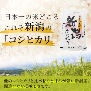 6ヶ月定期便 新米  新潟産 コシヒカリ 5kg 白米 精米 １等米 新潟県産 定期便 お米 5kg  こめ コメ ブランド米 6ヶ月 半年 6回